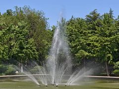 -石家庄市植物园