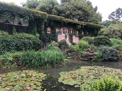 -中国茶叶博物馆(双峰馆区)