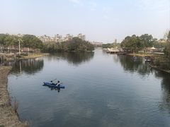 -新江湾城公园