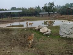 -西安秦岭野生动物园