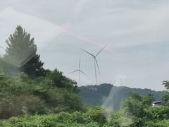 -重庆睡佛山森林公园