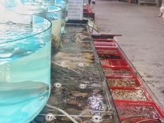 -望海潮海鲜店 特色家常菜(在海一方店)