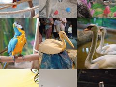 -海合安武汉极地海洋公园