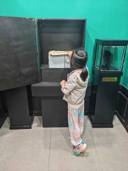 -熊猫密室探索乐园(正佳广场店)