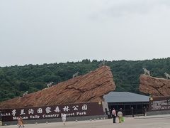 -茅兰沟国家森林公园