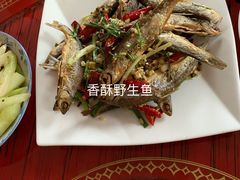 -谭家菜农夫山庄