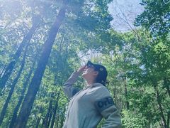 -龙峪湾国家森林公园