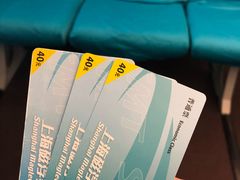 -龙阳路磁悬浮列车总站-停车场