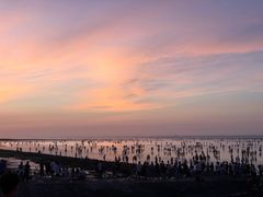 -南汇新城海滩