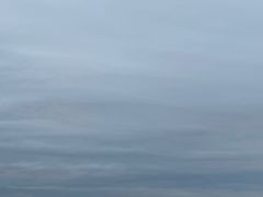 -鲜芋仙(财富中心店)