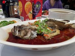 清蒸老虎斑-龙船人海鲜城(长治路店)