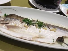 清蒸白鱼-香雪海饭店中餐厅(人民桥店)
