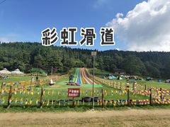-武陵山森林公园