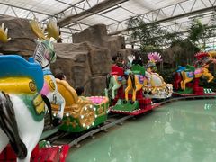 -南宫五洲植物乐园