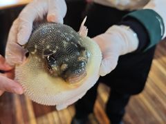 -永安鱼庄·镇江菜(丁卯店)