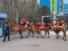 -同至人购物中心(朝阳街店)