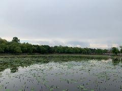 -长春市南湖公园