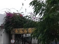-喜运来温泉大酒店