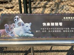-北京野生动物园