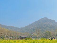 -八卦田遗址公园