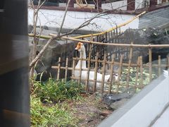 -日出青木·杭帮菜名店