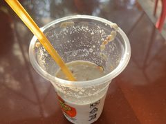 -山乡巨变第一村-周立波故居