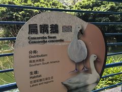 -九龙公园