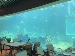 -海棠湾洲际-涛·海底餐厅·美人鱼·自助餐·海底隧道