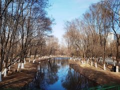 -长白岛森林公园