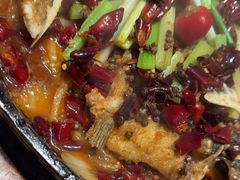 -老板恋上鱼(恒隆广场店)