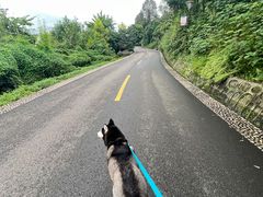 -张坝桂圆林公园