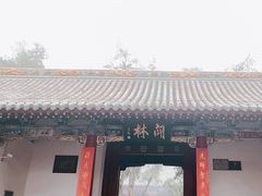 -关林
