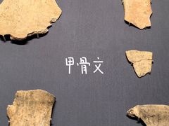 -山东博物馆