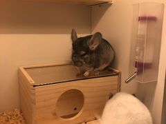 -龙猫仔乐园(惠福东路店)