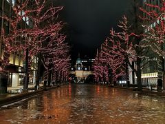 -北海道厅旧本厅舍(旧本庁舎)