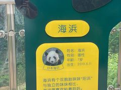 -黔灵山公园