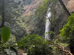 -莫里热带雨林景区