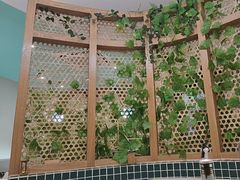-相椰·椰子鸡(元芬店)
