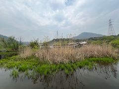 -西湖风景区-江洋畈生态公园