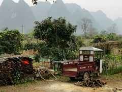 -遇龙河大樟树农家乐