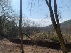 -西湖风景区-江洋畈生态公园