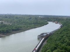 -东寨港红树林旅游区