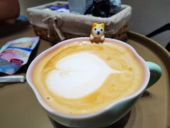 -逗柴咖啡屋·狗咖猫咖宠物桌游