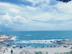 -广东惠东海龟国家级自然保护区
