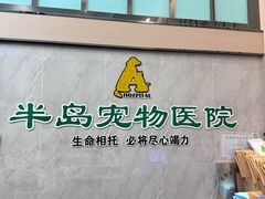 -半岛宠物医院24小时(科华中路店)