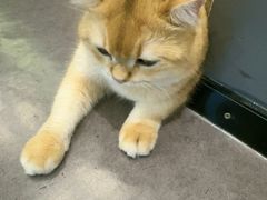 -上海来福士广场