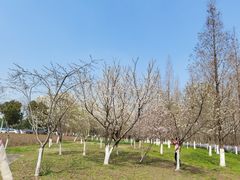 -白塘生态植物园
