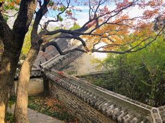 -蓬莱阁景区