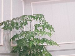 -红胖胖龙虾王·本地菜
