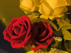 -苏州5D星空错觉艺术馆